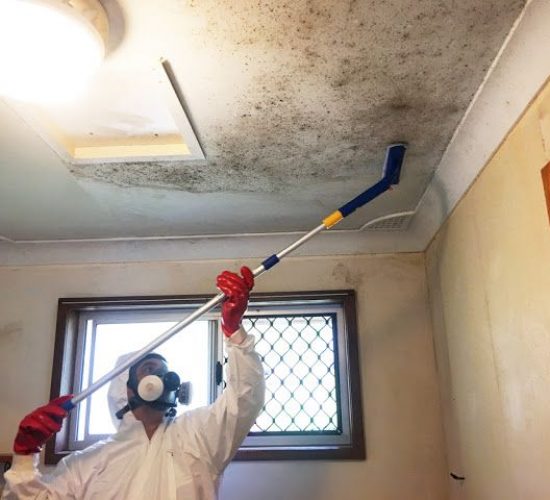 mould-removal